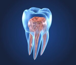 Endodoncja Brzesko Bochnia